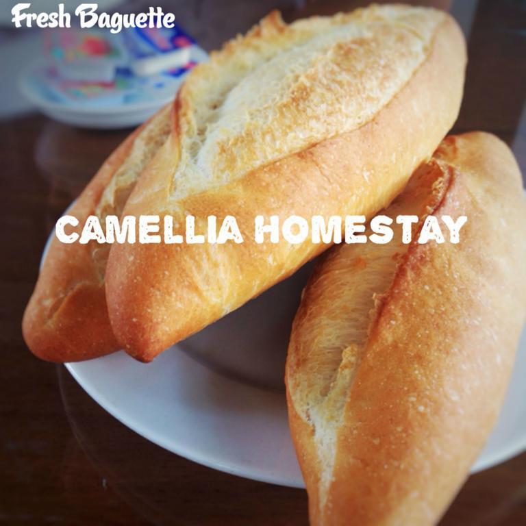 Camellia Homestay Hoi An Esterno foto